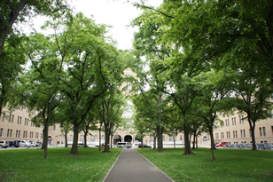 北海道大学農学部