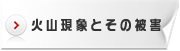 火山現象とその被害